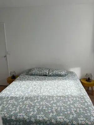 Un ou plusieurs lits dans un hébergement de l'établissement Bright apartment