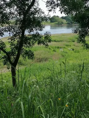 Paysage naturel près de la maison de vacances