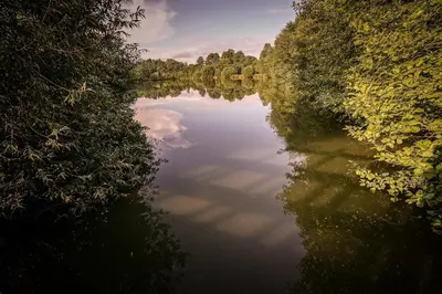 Plan de l'établissement Gîte du Puy Charrier, Proche Puy duFou, Classé 3 étoiles, Plan d'eau privé