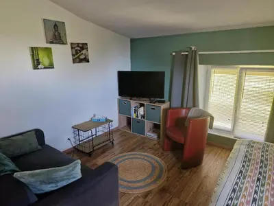Télévision ou salle de divertissement dans l'établissement Appartment Cosy 31m parking 5min Parc Expo