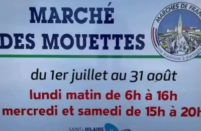 Certificat, récompense, panneau ou autre document affiché dans l'établissement T3 lumineux à deux pas de la plage