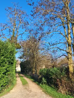 Paysage naturel près de la maison de vacances
