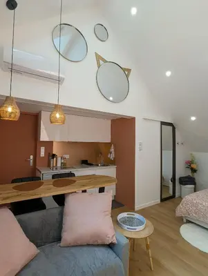 Cuisine ou kitchenette dans l'établissement La Suite - Résidence Chez Gally à Angers