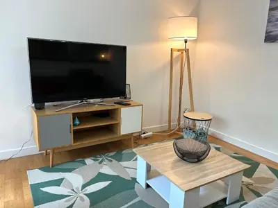 Télévision ou salle de divertissement dans l'établissement T3 4pers Quartier Michelet et Facultés avec Parking