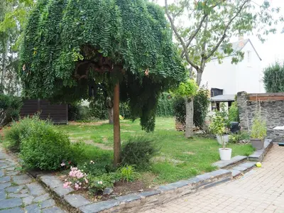 Jardin de l'établissement Studio indépendant chez l'habitant