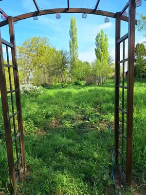 Jardin de l'établissement Ecolodge au jardins de Koantiz
