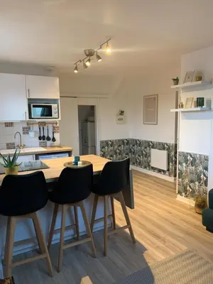 Cuisine ou kitchenette dans l'établissement Appartement T2 cosy aux portes de Nantes