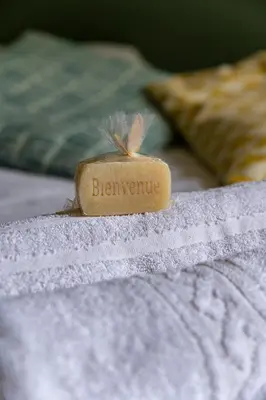 Un ou plusieurs lits dans un hébergement de l'établissement Le Vue sur Moine, pratique et proche du PuyduFou