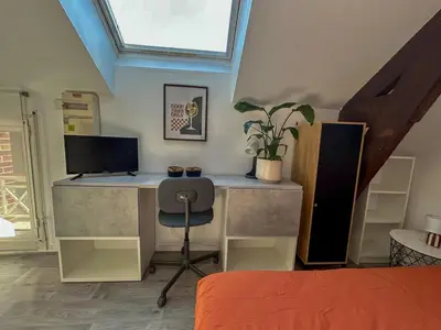 Télévision ou salle de divertissement dans l'établissement Studio Bord de Loire - Couëron