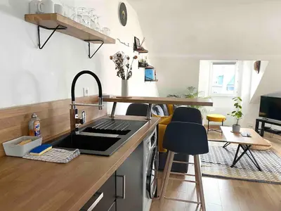 Cuisine ou kitchenette dans l'établissement Bel appartement de charme, calme au centre ville MH