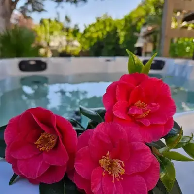 Villa 11 pers 4CH - Jacuzzi - Le Cormier