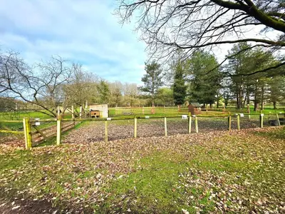 Jardin de l'établissement MH TV Piscine 3Ch 6Pers Cœur de Vendée Puy du Fou
