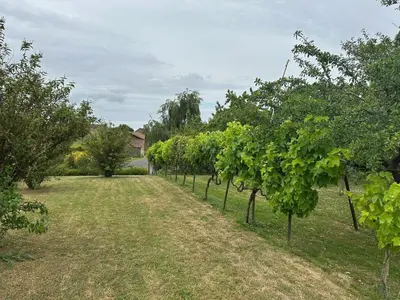 Jardin de l'établissement Lovely Holiday Home in Loire for 10