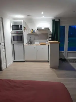 Cuisine ou kitchenette dans l'établissement Studio nature indépendant