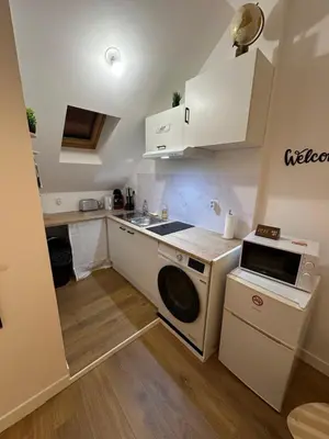 Cuisine ou kitchenette dans l'établissement Joli T2 cosy à Angers, calme et tout équipé