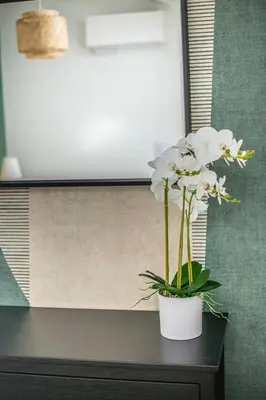 Plan de l'établissement Le Jungle, moderne et cozy!