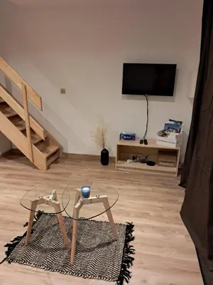 Télévision ou salle de divertissement dans l'établissement entre vieux port et thalasso
