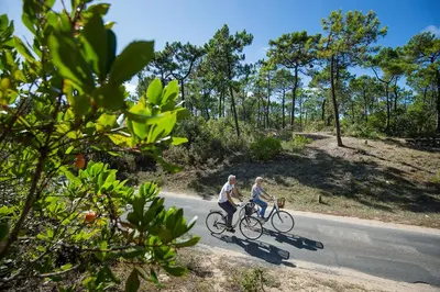 Vélo sur le terrain de l'établissement 800m de la plage, jolie maison pour 6 avec jardin ou dans les environs