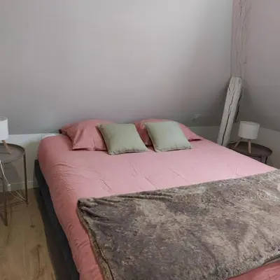 Un ou plusieurs lits dans un hébergement de l'établissement Le cocon citadin