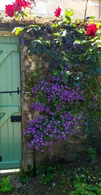 Jardin de l'établissement Maisonnette rénovée à 700m des bords de Loire