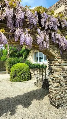 Jardin de l'établissement Near Nantes House in vineyards with Pool