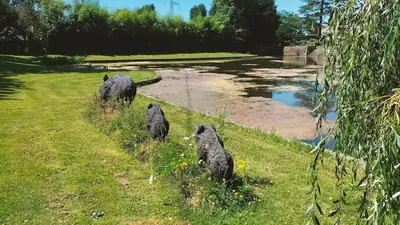Paysage naturel près de la maison de vacances