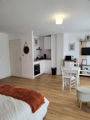 Cuisine ou kitchenette dans l'établissement Studio Nantes Beaujoire