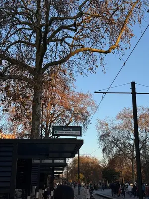 Plan de l'établissement Cocon en pierre au coeur des rues de Nantes
