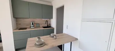 Cuisine ou kitchenette dans l'établissement L'Appar-TMN