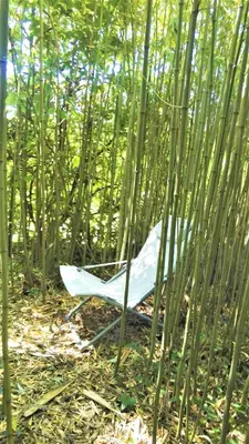 Jardin de l'établissement Le Gîte du Petit Plessis