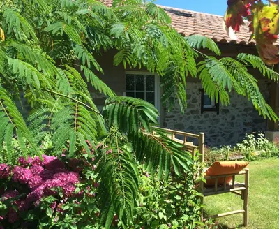 Jardin de l'établissement Chambres d'hôtes de La Roche