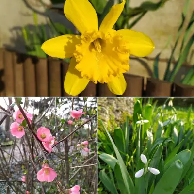 Jardin de l'établissement La Cabane des Beaux Chênes