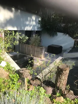 Jardin de l'établissement Le séquoia