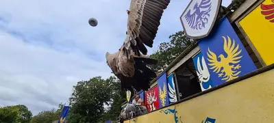 Plan de l'établissement Jolie Studio Le Pavachon à 3 min du Puy du Fou Les Epesses