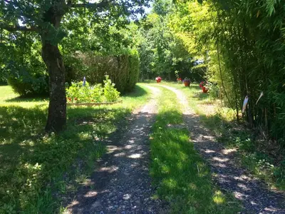 Jardin de l'établissement Gîte climatisé de La Haute Rue