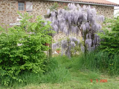 Jardin de l'établissement Gîte climatisé de La Haute Rue