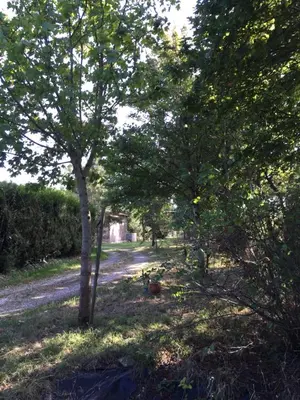 Jardin de l'établissement Gîte climatisé de La Haute Rue