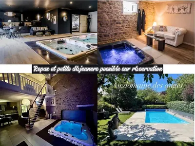 Piscine de l'établissement Au domaine des anges, 3 gîtes luxueux avec Jacuzzi privatif, sauna, mini-piscine, piscine extérieure chauffée en saison ou située à proximité