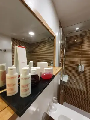 Salle de bains dans l'établissement Hôtel Les Prateaux