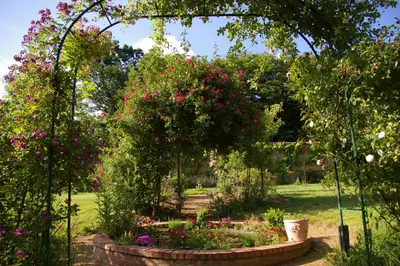 Jardin de l'établissement Domaine des Roches Blanches