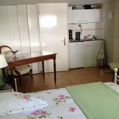 Cuisine ou kitchenette dans l'établissement Agora Mijo Chambre d'Hôtes