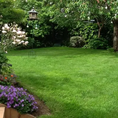 Jardin de l'établissement Agora Mijo Chambre d'Hôtes