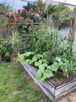 Jardin de l'établissement Céline et Olivier