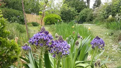 Jardin de l'établissement Gîte de l'Escapade