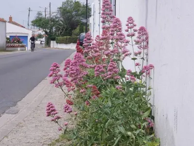 Quartier de la maison de vacances ou autre quartier proche