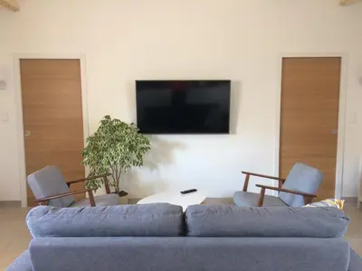 Télévision ou salle de divertissement dans l'établissement La grange