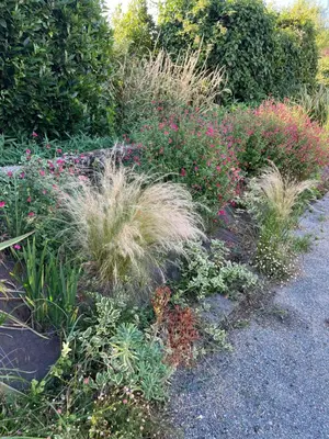 Jardin de l'établissement Domaine de la moriniere