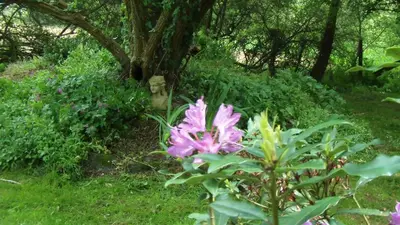 Jardin de l'établissement Le Moulin d' Erée, gîte Insolite de charme