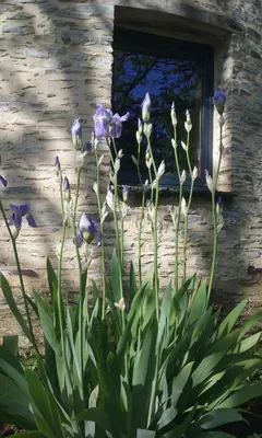 Jardin de l'établissement Le Moulin d' Erée, gîte Insolite de charme