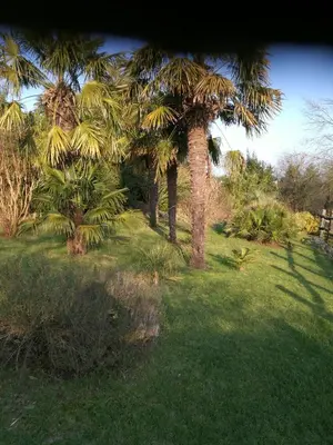 Jardin de l'établissement le coing